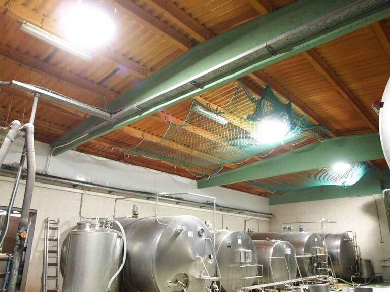 wine-factory-natural-light